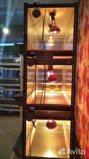 Клетки и брудеры для кур и перепелов