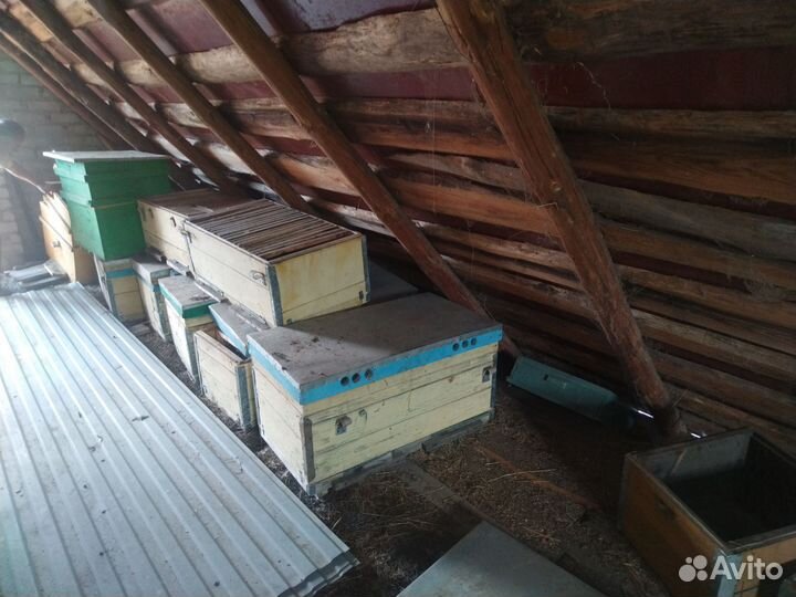 Ульи для пчел