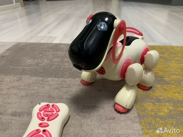Робот собака