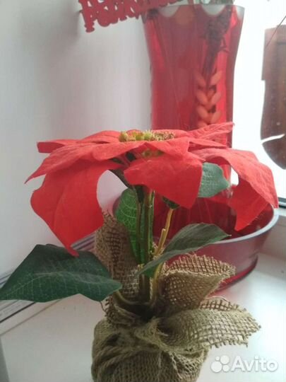 Сувенирный искусст.цветок пуасеттия