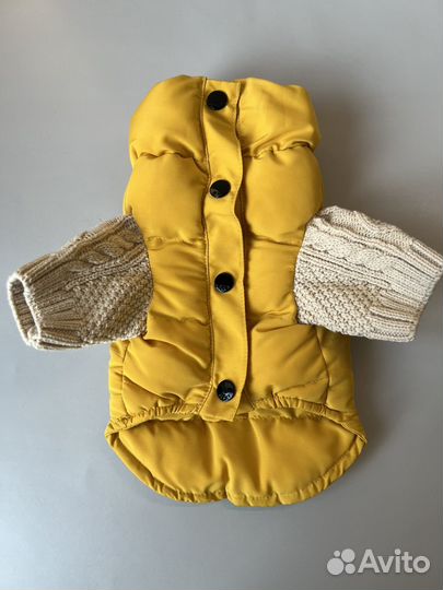 Куртка для маленьких собак Is Pet