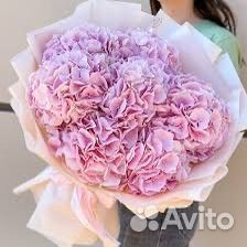 Букет Крапной Гортензии с доставкой