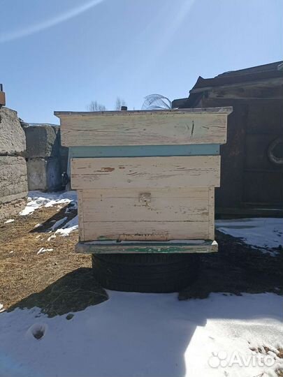 Улей для пчел бу