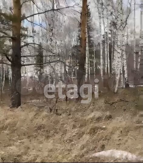 Участок 13 сот. (СНТ, ДНП)