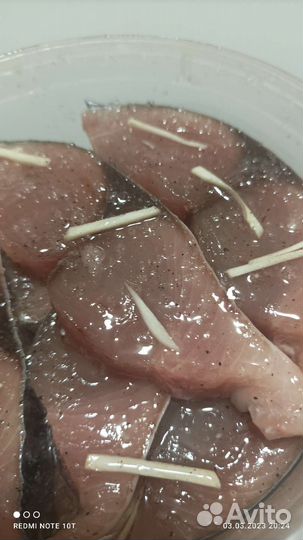 Пеламида слабосоленая с чесночком