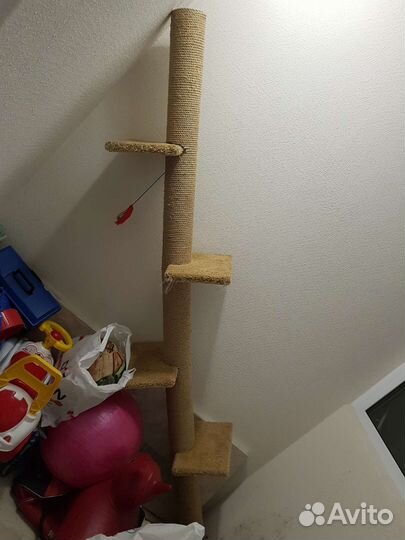 Когтеточка, Когтедерево