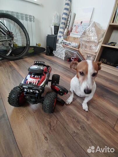 Монстртрак на радиоуправлении