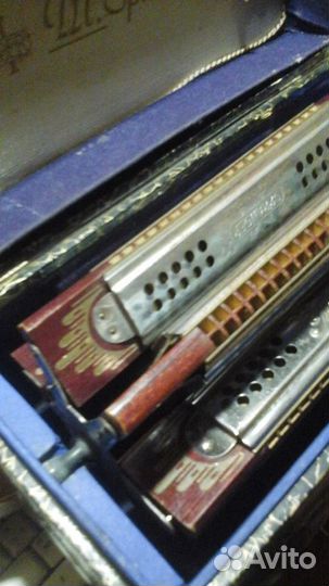 Трофейная губная гармошка M. shpranger