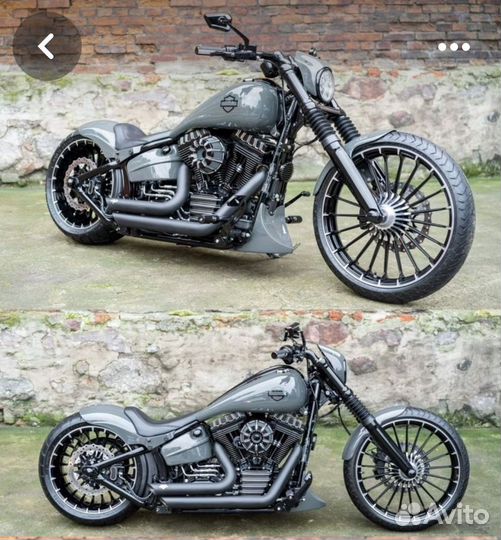 Harley davidson бак