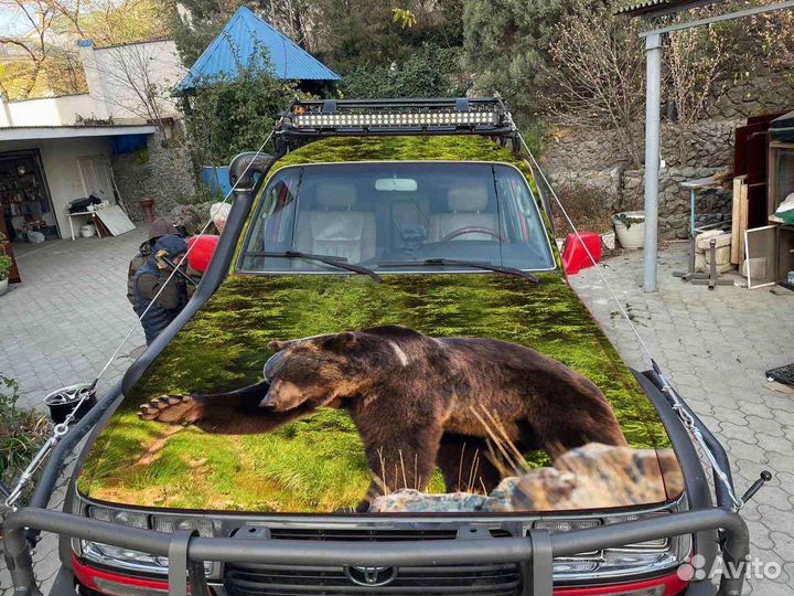 Помощник по хозяйству- водитель