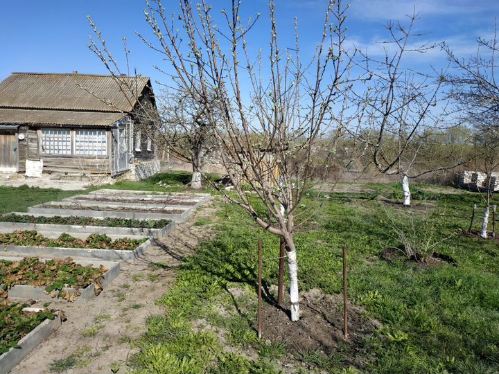 Участок 13,11 га (ИЖС)