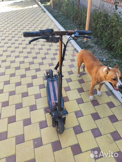 Электросамокат kugoo m4