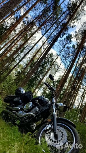 Yamaha xvs 1100 Drag Star