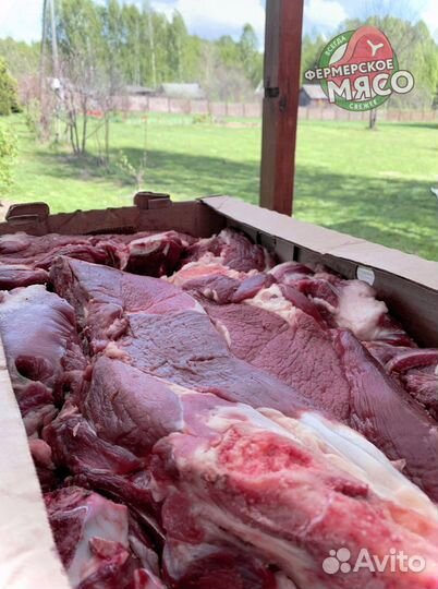 Мясо говядина