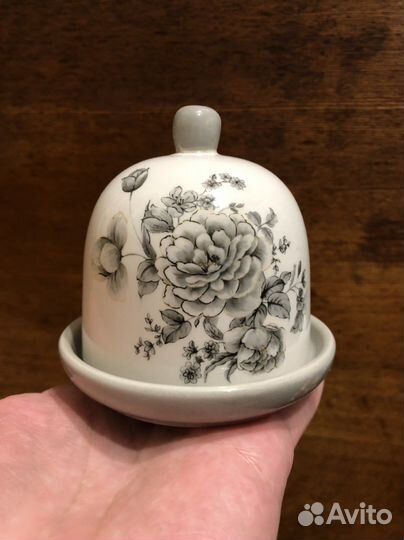 Лимонница Вдохновение Agness