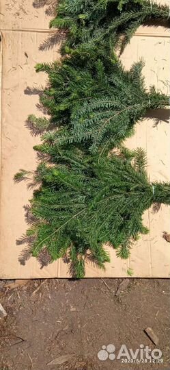 Пихтовое масло