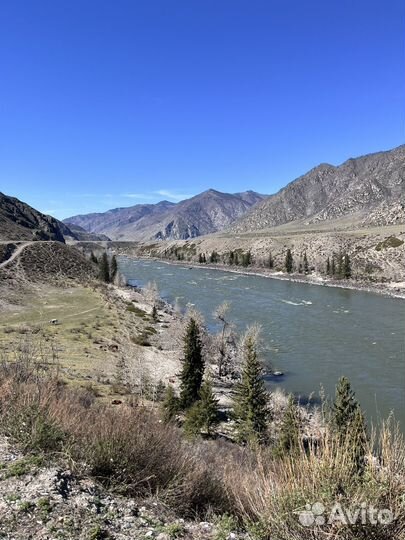 Тур Путешествие на Алтай