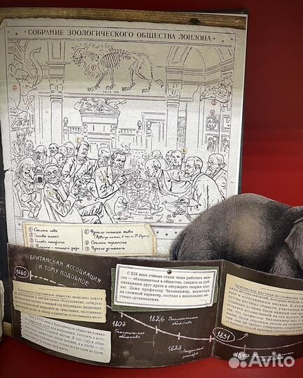 Книги. Вокруг книги/Затеряный мир