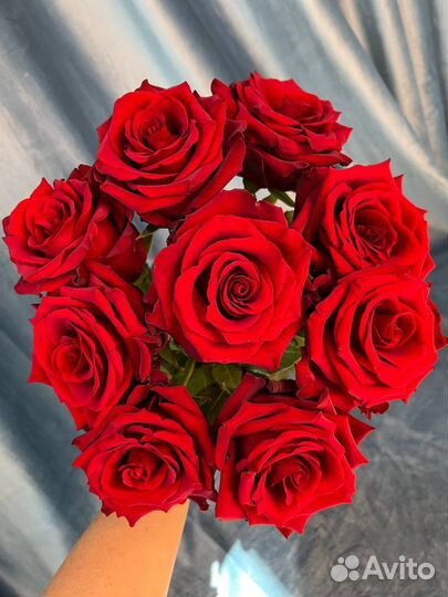 Букет из 9 красных роз доставка