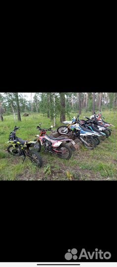 Racer Enduro 300