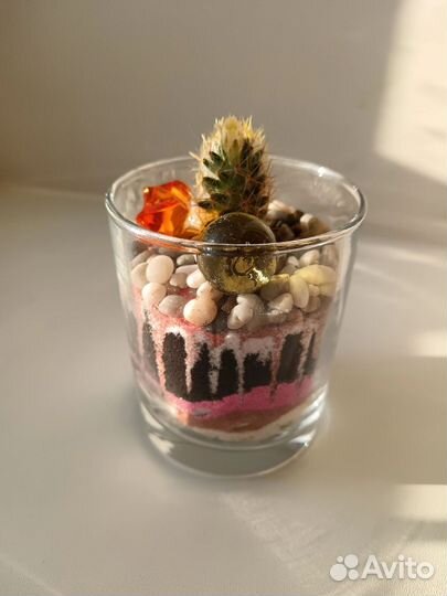 Выездные мастер-классы