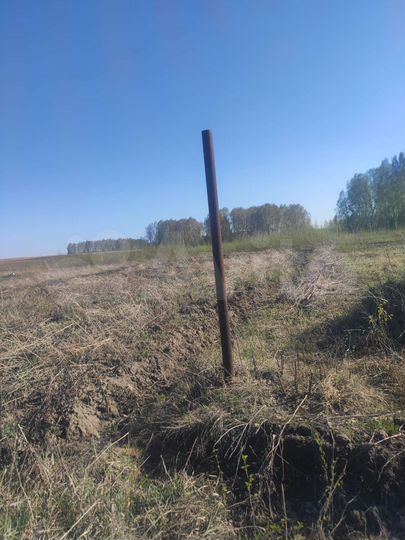 Участок 10 сот. (СНТ, ДНП)