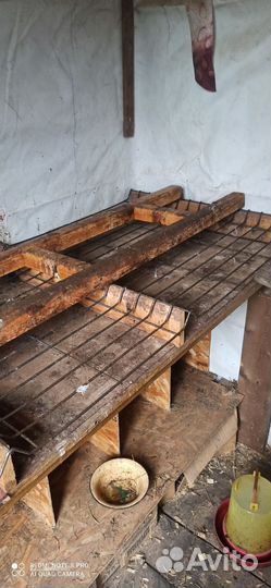 Курятник для кур