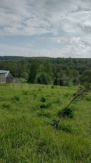 Участок 20 сот. (ИЖС)