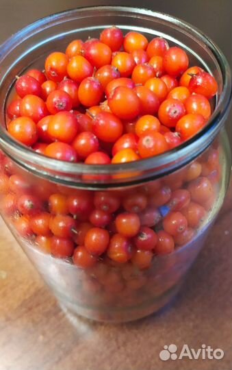 Облепиха ягода свежая