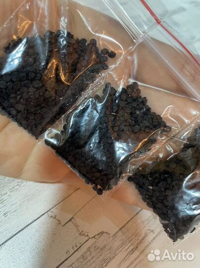 Предзаказы на октябрь. Семена ялтинского лука