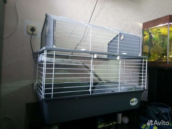 Клетка. Аквариум