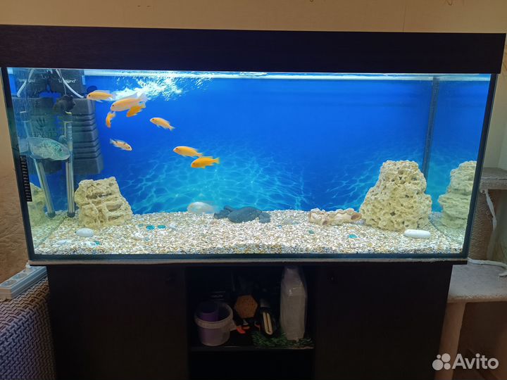 Аквариум с рыбками 320 литров