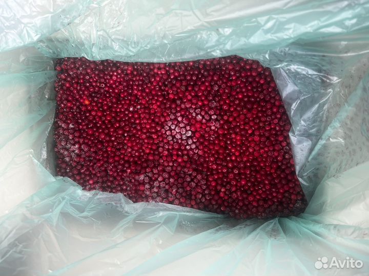 Брусника с/м