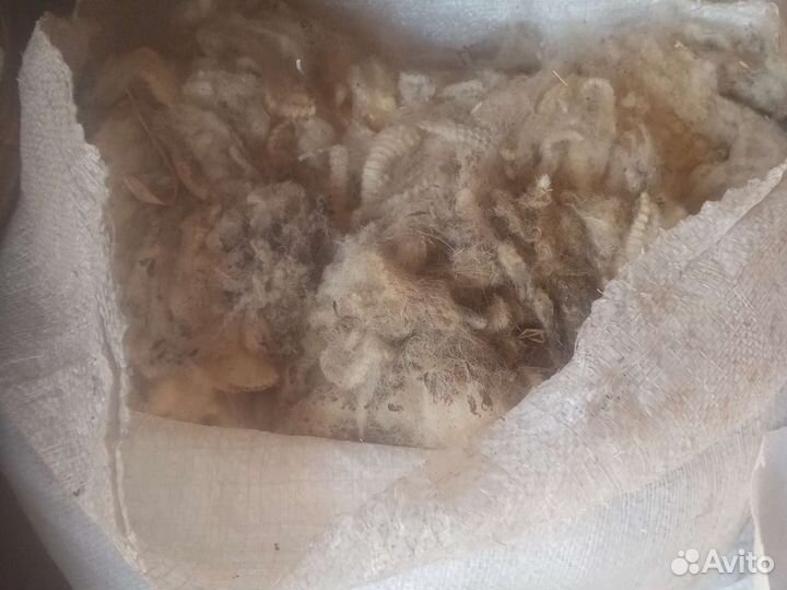 Шерсть овечья