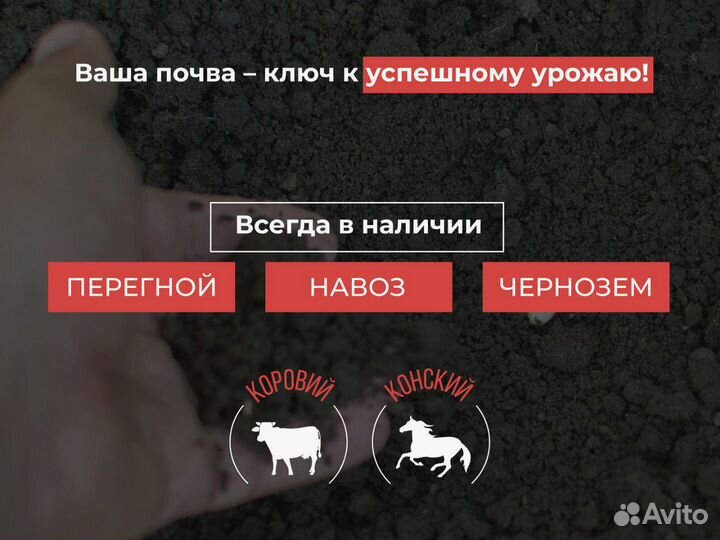 Перегной с доставкой
