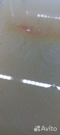 Корм для рыбок