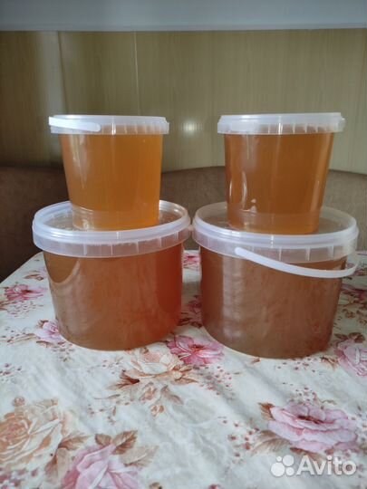 Свежий мед 2023 года с доставкой