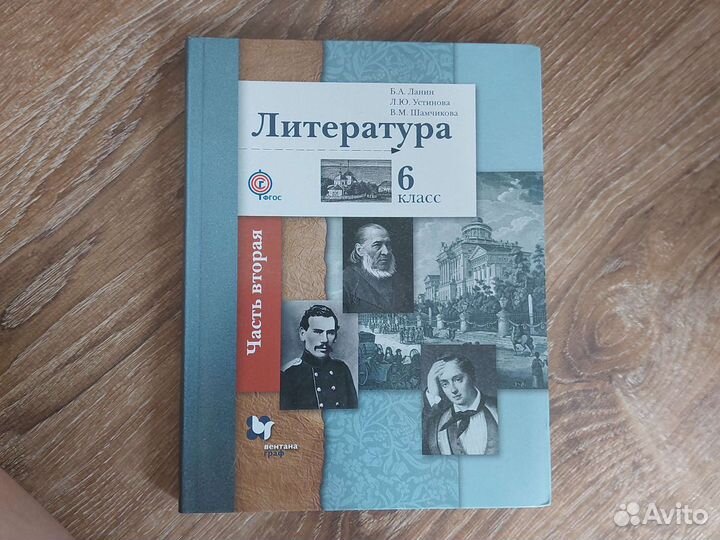 Учебники 6 класс литература Ланин