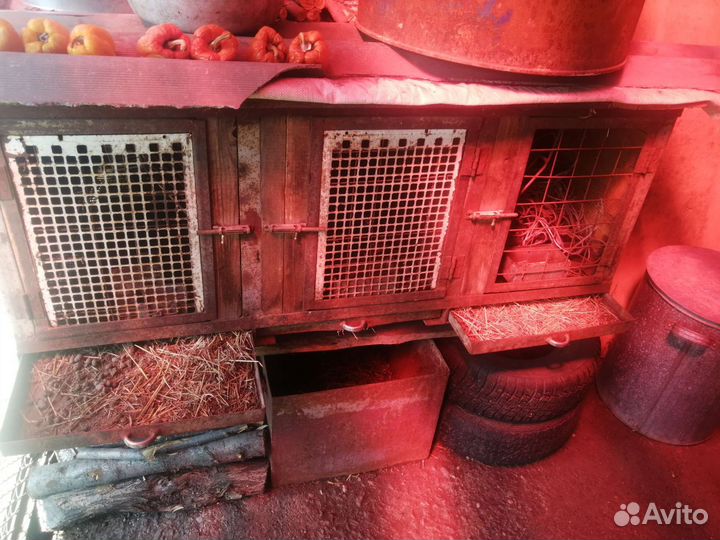 Клетка для кроликов