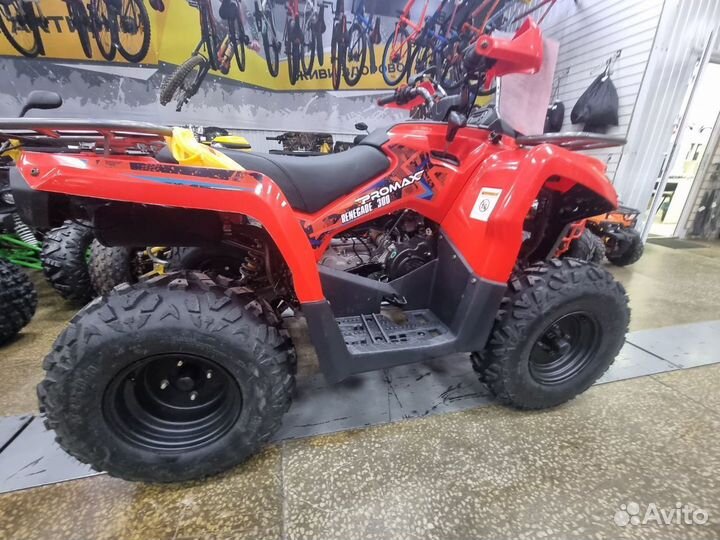 Квадроцикл promax renegade 300(красный)