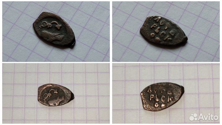 Чешуя серебро медь