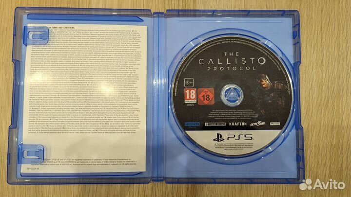 The callisto protocol ps5