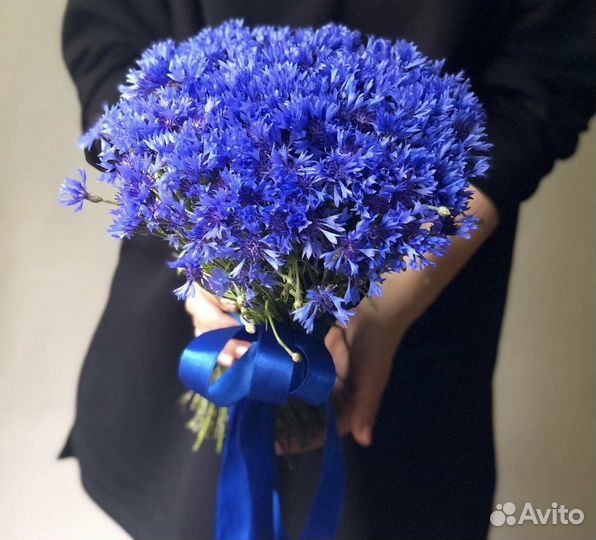 Букет шикарных васильков 21 25 31 51 101