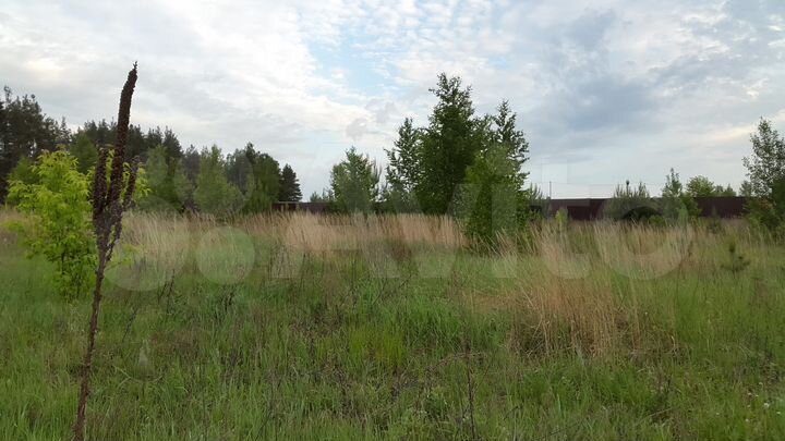 Участок 30 сот. (ИЖС)