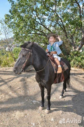 Прогулки на пони в Ялте Обучение В.Е