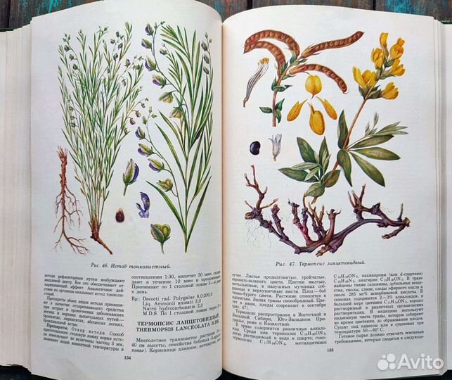 Ботаническая книга лекарственные растения