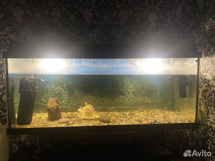Аквариум