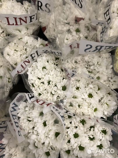 Цветы, розы, хризантемы, букет, оптом