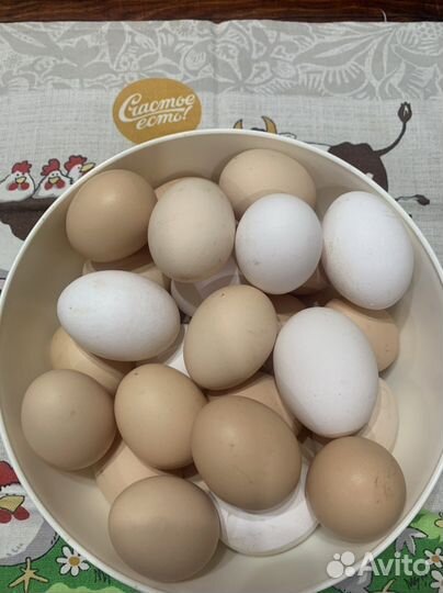 Домашние куриные яйца