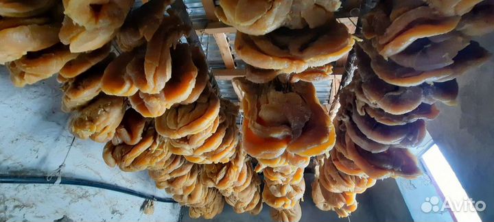 Сушеные курдюки